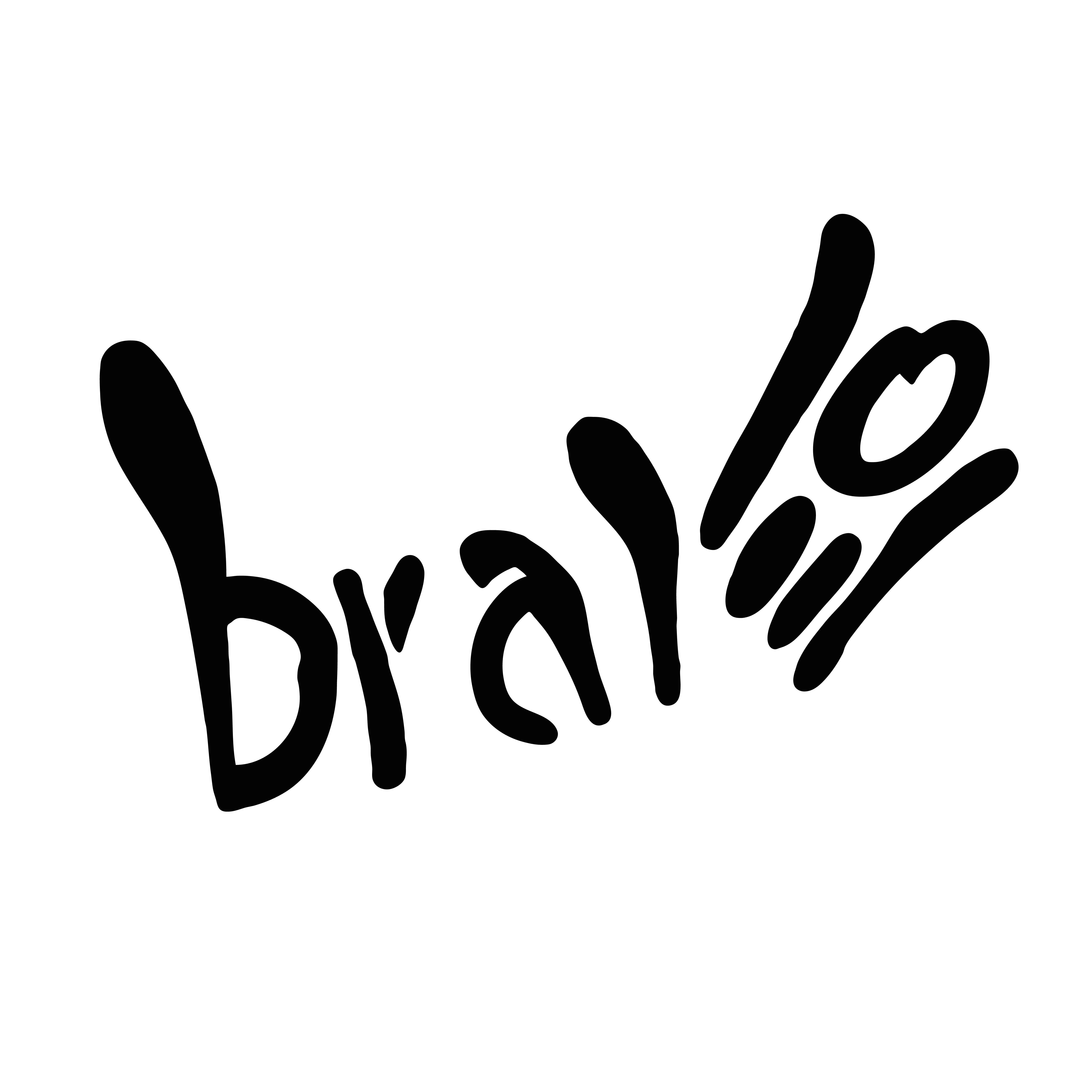 Bravo Store